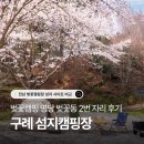 은하캠핑장 | 구례 섬지캠핑장 벚꽃캠핑 명당은 벚꽃동 2번? 사이트별 팩트체크 (단풍 산수유 소나무동 비교)
