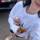 공연일번지 | 2박 3일 삼척 여행 기록 (물꼬기, 평화주택커피, 쏠비치, 죽서루, 환선굴)