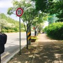 강산에 글램핑 이미지