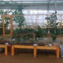 나눔염소농장 이미지