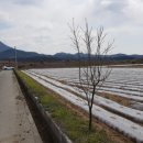 선산한우농장 이미지