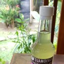 마켓바구스 이미지