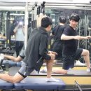 필라트니스 이미지