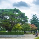 푸름공원 이미지