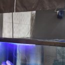 일품 복어 | 송도 복어 코스 일품인 [이복집] N번째 방문 후기