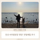 인천의 갯벌 이야기 | 대부도 비치캠핑장 명당! 갯벌체험 아이와 안산 겨울여행 후기