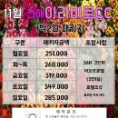 아라미르 이미지