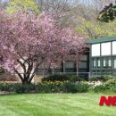 나무와중학교 이미지