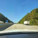 라라코리아 길그룹 이미지