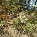 희정이네농장 이미지