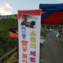 2016 무주산골영화제 여행 후기 : 낙화놀이, 홍등날리기 대~~~박. 훌륭한 상영작 관람. 두손가득 선물...