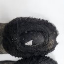 메리다 패밀리 리페어 이미지