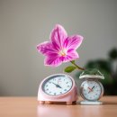 (주)무궁화식품 | 무궁화 다이어트 효과 부작용 제대로 알고 시작하기