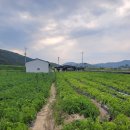 남덕농장 이미지