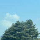 씨씨팜 | 천안 목천 독립기념관 천안로컬푸드 어린이체험 제터머기 페스티벌 다녀온 후기