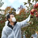 영주시장 이미지