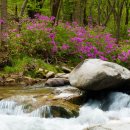 월성농장 이미지