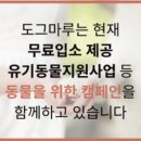 도그마루 강아지 고양이 부산점 이미지