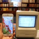 (08/06)펀치니들 티코스터 | 시애틀여행코스, 흐린 날씨를 잊게 해주는 실내 가볼만한 곳 8