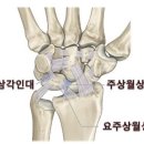 춘양삼성의원 이미지