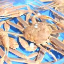 대게하우스 이미지