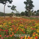 여주꽃화원