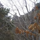 도봉-도봉-2011 이미지