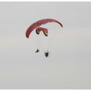 스팅거 - 사상구 사상로161번길 42 | 스팅거