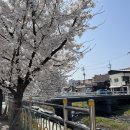 용산천변길 이미지