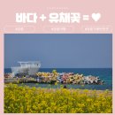 해중공원펜션 | 강릉 사근진 해중공원 전망대 유채꽃밭