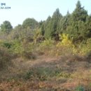 용인시가창보건진료소 이미지