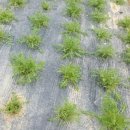 해오름농장 3 이미지