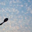 주식회사 브레게티이태원점 | [이태원역]::모든 메뉴가 100% 비건! 비건 레스토랑 "브레게티"