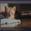 가조수협효시공원 이미지