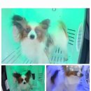 주식회사 하이나 이미지