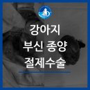 부신메디칼 이미지