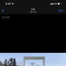 김밥산책 이미지