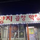 양지안경원 이미지