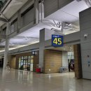 재인구(큰다리 지나 하천변) | [여행기록] 다시, 몰디브 ② 에미레이트항공 비즈니스 (B777-300 신기재 vs 구기재)