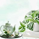 도시의 아침 이미지