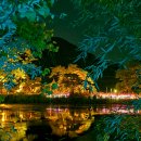 틀모산 도시숲 | 문경 야경 명소 추천 틀모산 저수지 도시숲, 당일치기 드라이브 코스로 딱