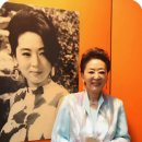 영화배우 김지미별세 이미지