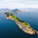 태평양 금호 이미지