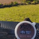 차롱네 멍밥상 네이버블로그
