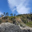 행운목장 이미지