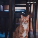 두리동물클리닉 이미지