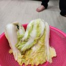 구원농장 이미지