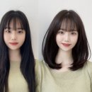 매직컷트 네이버블로그