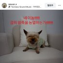 플라스틱프로덕트 - 성동구 연무장길 89 | 플라스틱 프로덕트 Mpa 스플릿 포켓 팬츠 후기 (Plastic product, 여자 새깅 팬츠 추천)