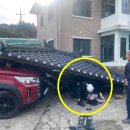 대치리 마을회관 이미지